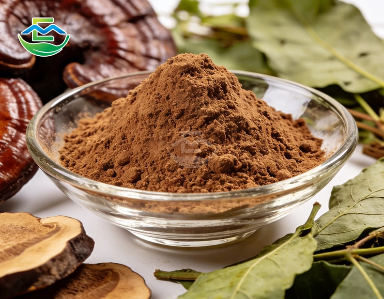 Ganoderma Lucidum Powder